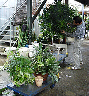 グリーンメンテナンス 福岡 精華園